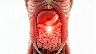 Heavy Lifting Dangers: Hernias, Cancer Risks, and What Men Must Know