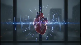 Why Fitness Lovers Need To Monitor Heart Tiers Closely During Humid Rainy Day Workouts