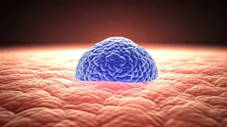 Unveiling Men's Skin: Beyond the Roughness – A Dermatologist's Guide to Tailored Care