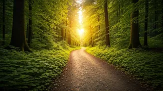 Walking Improves Heart Health and Longevity