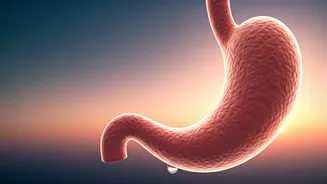 Slept Hungry, Woke Up Full? Decoding Your Body's Mysterious Morning Appetite Shift!