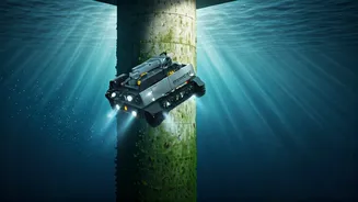 Revolutionary Underwater Robot Tackles Bridge Pile Maintenance: A Safer, Smarter Solution