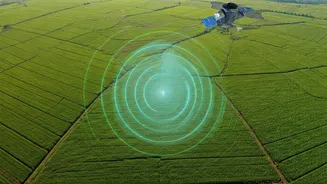 SAR Learning Can Help Agriculture And Disaster Work