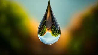 Breathwork And Stillness Are Getting Proper Attention