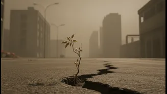 The Useful Indian Angle in State of India's Environment 2026 Is Air