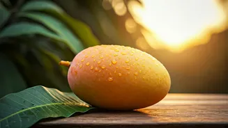 India Celebrates Final Mango Season Treats