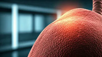 India's Cancer Crisis: 15 Lakh Cases Annually & 3 Crucial Early Warning Signs You Can't Afford to Ignore