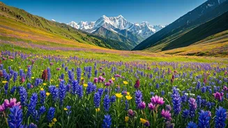 Bloom-Chasers Are Eyeing Uttarakhand’s Famous Valley