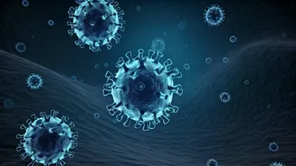 Unveiling the Viral World: 5 Must-Read Books on Human Health and Viruses