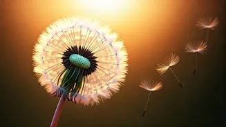 5 Essential Phrases to Nurture Your Child's Self-Worth: A Psychological Guide