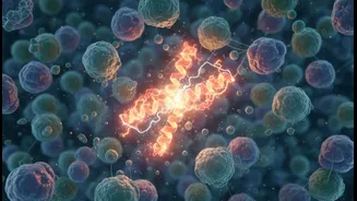 A Fat-Burning Protein Switch Study Sounds Exciting, But It Is Early