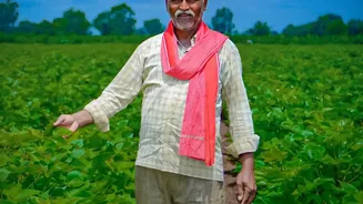 India’s Uneven September Rain: Why Farmers And Food Buyers Should Watch Rabi Crops