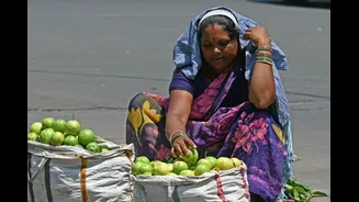 Mumbai Weather Update: IMD Issues Yellow Alert; Thane May Touch 39°C, City To Stay Above 36°C