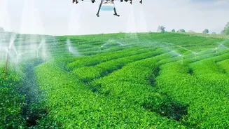 How Satellites Help India Watch Floods, Farms And Cyclones