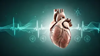 Decoding Your Health: A Comprehensive Guide to Understanding Common Conditions