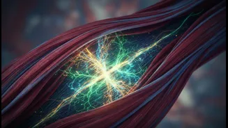 Exercise-Trained Muscle And Molecular Ageing Is Easier To Understand Through Multi-Omics Analysis Of Human Skeletal Muscle