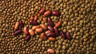 Protein Power: 6 Swaps for Indian Meals