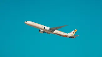 Delhi-Daman's New Direct Flight Brings Flight Frequency Into Focus