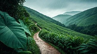 The Best Budget Honeymoon Picks For Rain Lovers