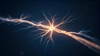 Unlock Your Brain's Potential: How 2 Minutes of Silence Can Combat Overstimulation