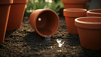 Tilted Pots Are A Simple Drainage Hack