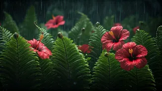 Ferns And Hibiscus Love India's Rainy Season