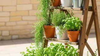 What exactly are calabash planters?