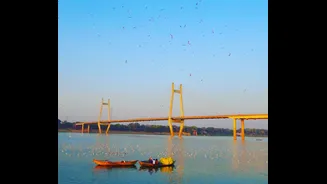 Rising Ganga and Yamuna water levels flood Prayagraj residential areas