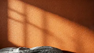 Terracotta Clay Washes Build Textured Earthy Bedroom Accent Walls
