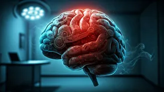 Comedian Zakir Khan's Health Break: Understanding the Risks of Burnout and Sleep Deprivation