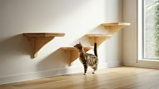 Give Indoor Cats Safe Playground Spaces With Wall Mounted Steps