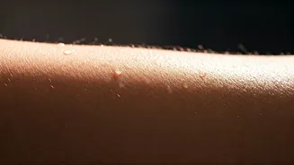 Heat Stress Can Hit Before You Realise