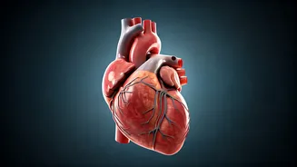 Study Says Possible Link, Not Miracle Fix