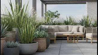 Create A Cooler Terrace With Easy-Care Plants