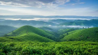 How Meghalaya Remote Work Havens Offer Affordable Rainy Season Escapes Daily