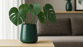 Planters Are The Easiest Decor Upgrade