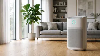 Winter Air Pollution Can Enter Homes Too: What Residents Can Do