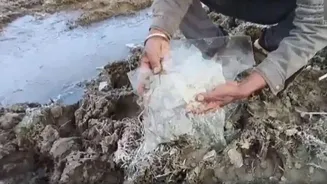 Rajasthan's Mount Abu shivers at -7°C, water bodies freeze