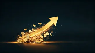 The Secret Behind Faster Wealth Creation Revealed