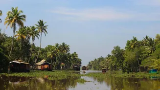 How to explore Kerala backwaters in 3 days