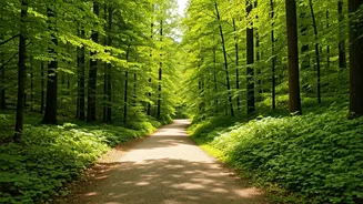 Boosting Daily Walks: 5 Ways to Elevate Your Routine