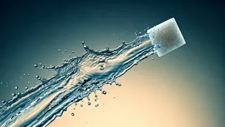 PM Modi's Sweet Response: Influencer's Plea Sparks National Sugar Awareness