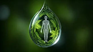 Simple Habits That Keep Monsoon Diseases Away