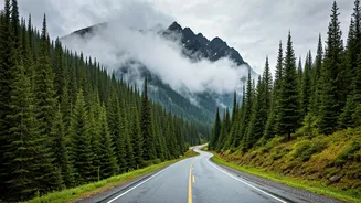 India's Most Beautiful Rain Drives Are Up North