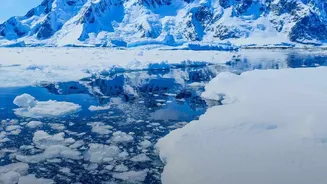 A New Antarctica Study Puts Long-Term Ice Loss In Focus