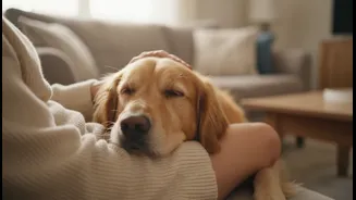 New Study Offers Fresh Insight Into Pets And Daily Emotional Health