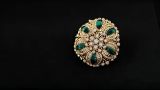 Ingrid Harbaugh: A Fashion Icon's Headline-Making Style