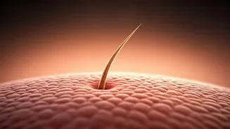 Related Stories banner