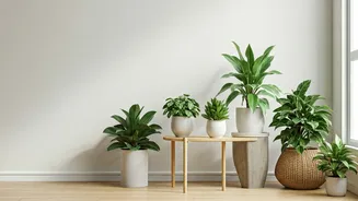 Indoor Greens Are The Cheapest Wellness Corner