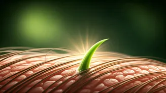 Revitalize Your Hair: Natural Home Remedies for Men Experiencing Hair Thinning